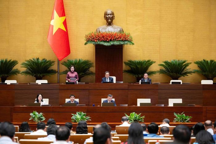 Phó Chủ tịch Quốc hội Nguyễn Thị Hồng điều hành phiên họp.