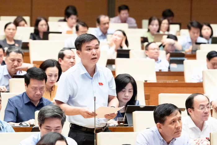 Đại biểu Quốc hội Hà Sỹ Huân (Đoàn Thái Nguyên) phát biểu tại phiên họp.