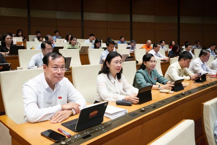 Các đại biểu dự phiên họp.