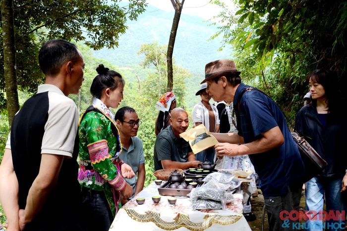 Du khách đến lễ hội có thể thưởng thức trà Shan Tuyết cổ thụ tại chỗ và mua sản phẩm chất lượng cao, an toàn. Ảnh: Quốc Hồng