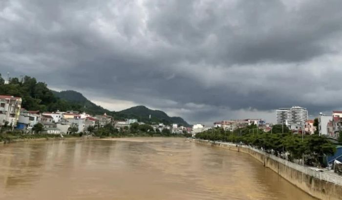 Mưa từ đêm 21 đến sáng 22/8 làm nước sông Bằng dâng cao.