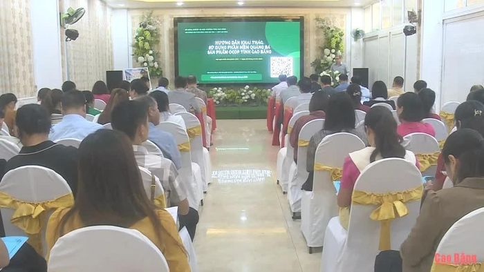 Toàn cảnh hội nghị.