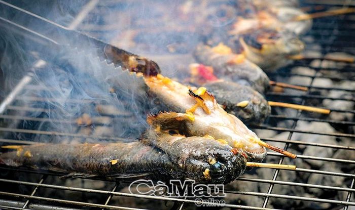 Cá thòi lòi nướng than hồng, thơm nức và giữ trọn vị ngọt tự nhiên.