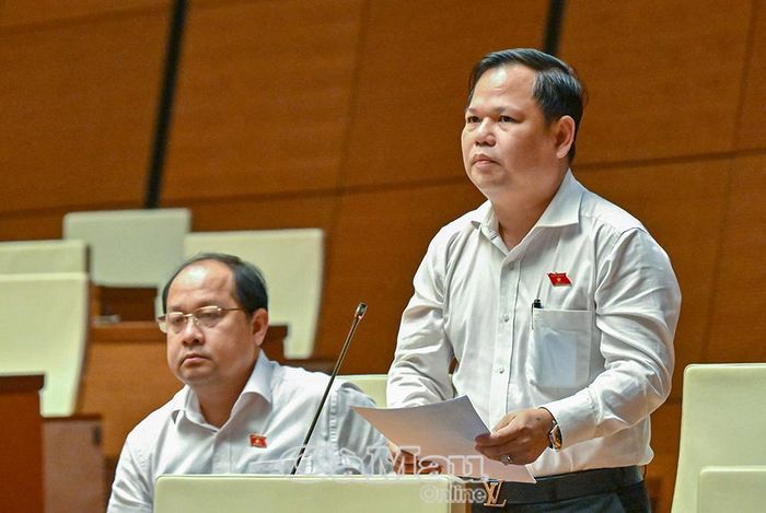 Đại biểu Nguyễn Duy Thanh, Đoàn ĐBQH tỉnh Cà Mau, phát biểu tại phiên thảo luận ở hội trường, chiều 22/8.