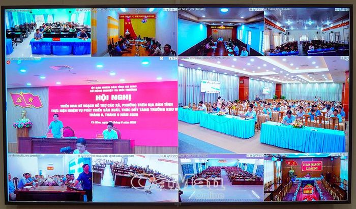 Hội nghị được kết nối trực tuyến đến 64 điểm cầu xã, phường.