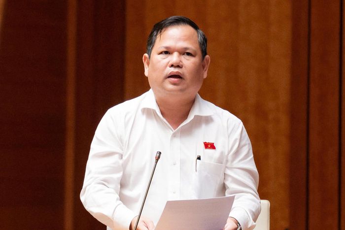 Đại biểu Nguyễn Duy Thanh phát biểu thảo luận. Ảnh: VPQH