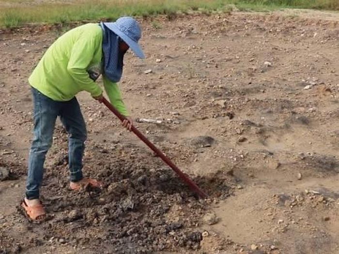 Người đàn ông cũng trồng cây, trao đổi với gia đình người đã khuất về cách tưởng nhớ người thân và chứng kiến cảnh quan thay đổi qua các mùa, từ táo dại, sơn trà đến anh đào, lê. Ảnh minh họa