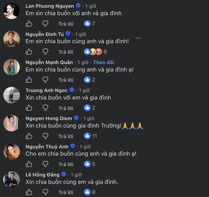 Nhiều nghệ sĩ quen thuộc của màn ảnh VTV đã gửi lời động viên tới Mạnh Trường và gia đình. Ảnh: FBNV
