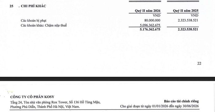 Báo cáo tài chính riêng quý II/2026 ghi nhận 5,09 tỷ đồng tiền chậm nộp thuế và 80 triệu đồng tiền phạt trong chi phí khác. Ảnh chụp Báo cáo tài chính riêng quý II/2026