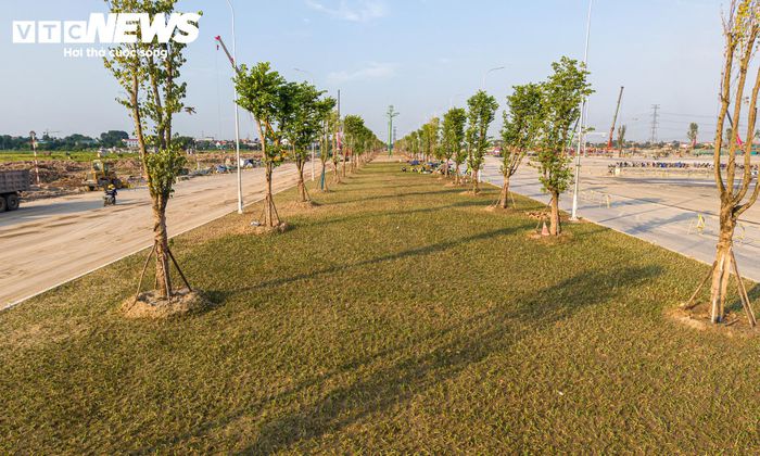 Tại khu vực dải phân cách, công nhân trồng cỏ, chăm sóc cây xanh và hoàn thiện các hạng mục cảnh quan. 