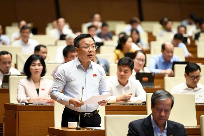Phó trưởng đoàn chuyên trách Đoàn đại biểu Quốc hội Hà Nội Trần Thanh Hà phát biểu thảo luận. Ảnh: Như Ý
