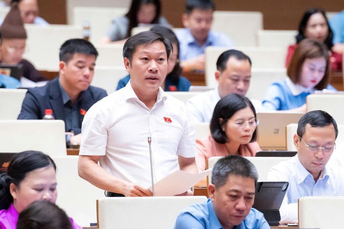 Đại biểu Nguyễn Khánh Vũ (Đoàn Quảng Trị). Ảnh: media.quochoi.vn