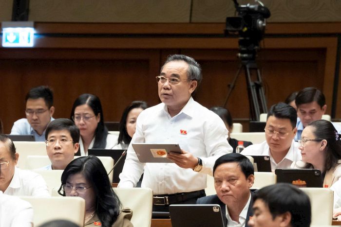Đại biểu Lê Hữu Trí (Đoàn Khánh Hòa). Ảnh: media.quochoi.vn