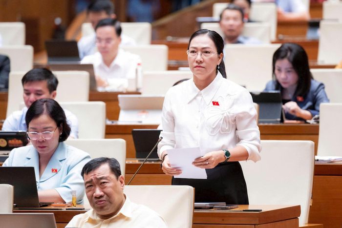 Đại biểu Nguyễn Thị Yến Nhi (Đoàn Vĩnh Long). Ảnh: media.quochoi.vn