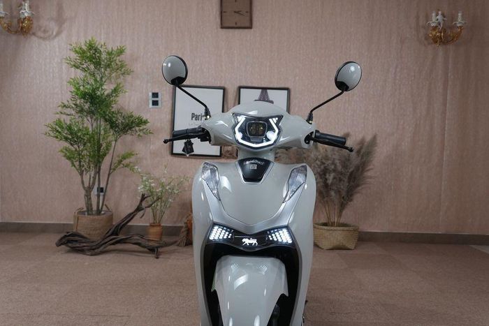 Ngoại hình là một trong những điểm đáng chú ý trên xe máy điện Dibao Shine.