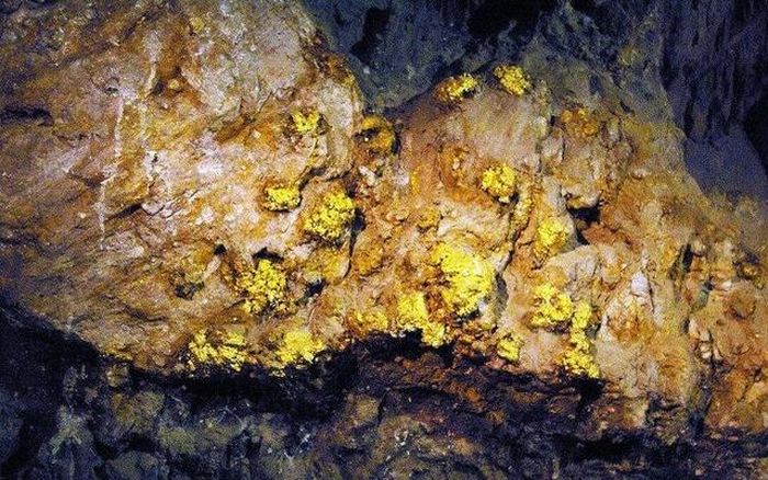 Thân quặng vàng dài tới 400m vừa được phát hiện.