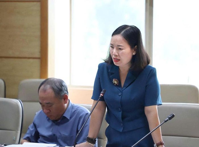 Lãnh đạo Cục Dân số báo cáo, làm rõ thêm thông tin tại cuộc họp.   Ảnh: Trần Minh