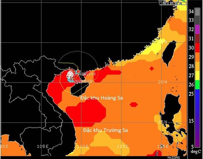 Bão số 4 hoạt động trên vùng biển có nhiệt độ cao.
