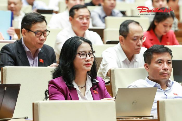 Các đại biểu dự phiên họp