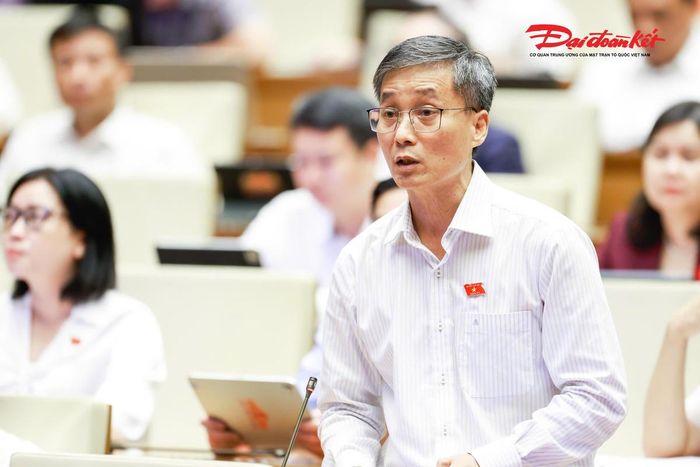 Đại biểu Nguyễn Khánh Ngọc, đoàn Đà Nẵng phát biểu