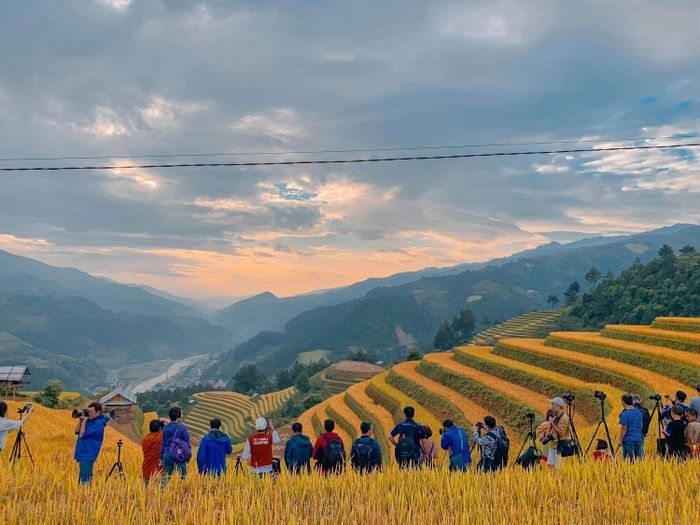  Đồi Móng Ngựa là một trong những điểm "đắt khách" mùa lúa, hút đông đảo du khách và giới nhiếp ảnh. Ảnh: Phạm Lan Hương. 