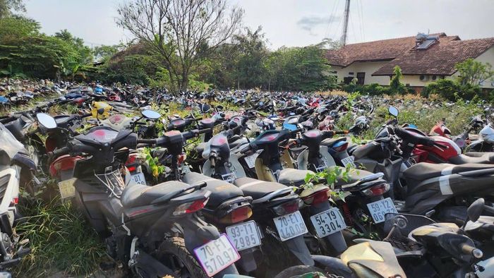 Giá khởi điểm của toàn bộ lô tài sản là hơn 27,8 tỷ đồng, tức trung bình khoảng 698.000 đồng/phương tiện. Ảnh: Công an TP.HCM.