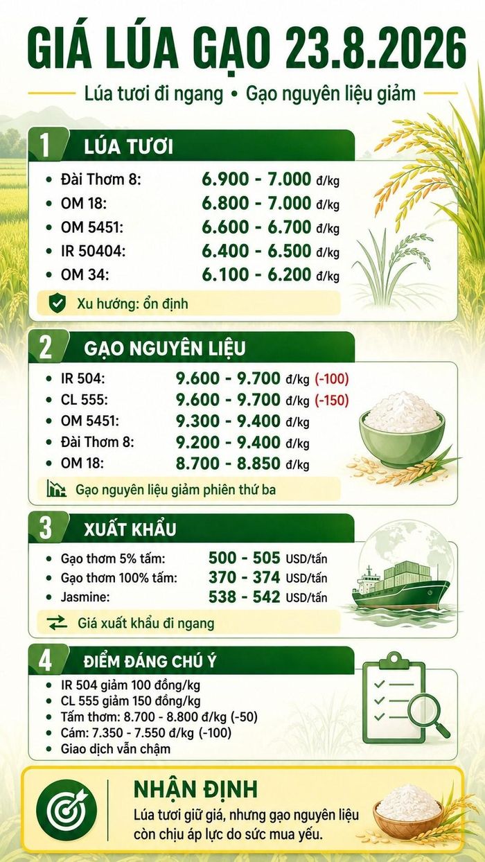 Giá thực tế có thể chênh lệch theo địa phương, chất lượng hàng và thời điểm giao dịch.