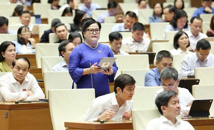 Đại biểu Nguyễn Thị Sửu phát biểu