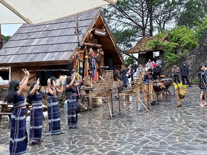 Các chương trình biểu diễn