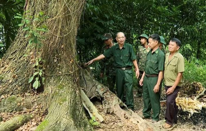 Nhân chứng lịch sử Đỗ Văn Chung cùng lực lượng tìm kiếm xác định vị trí ngôi mộ tập thể tại Pháo đài K30. Ảnh: Lý Đức Tình