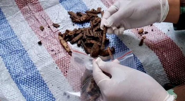 Đội tìm kiếm, quy tập hài cốt liệt sĩ đã tìm thấy một ít xương cốt và di vật của liệt sĩ