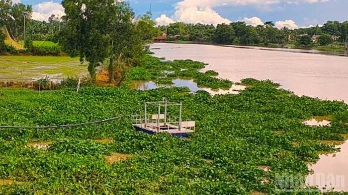 Hệ thống quan trắc môi trường được lắp đặt trên các sông chính truyền dữ liệu quan trắc tự động, liên tục 24/24 về Sở Nông nghiệp và Môi trường.
