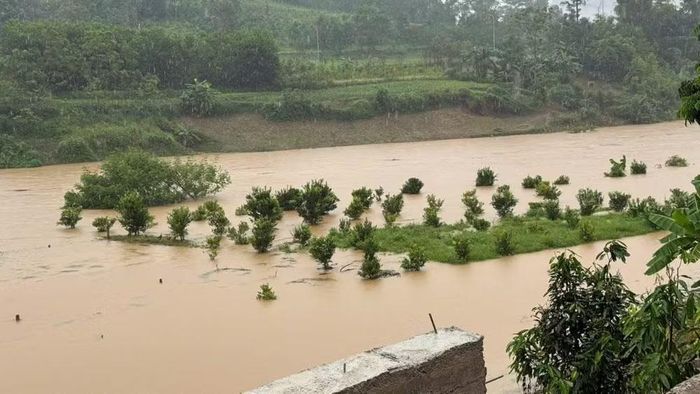 Mưa lớn kéo dài làm dâng nước lũ gây ngập úng hoa màu của người dân tại xã Na Rì. (Ảnh: Ủy ban nhân dân xã Na Rì).