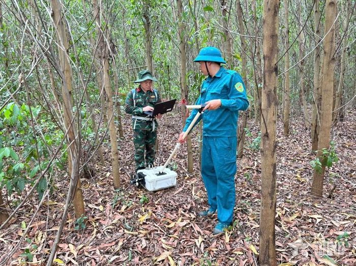  Tổ khảo sát làm việc tại khu vực rừng keo lá chàm phía Đông Nhà bia tưởng niệm Đồi Xuân Sơn. 