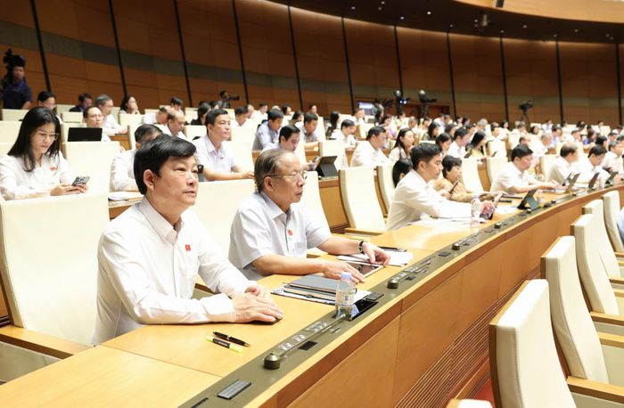  Các đại biểu tham dự phiên họp. Ảnh: TRỌNG HẢI