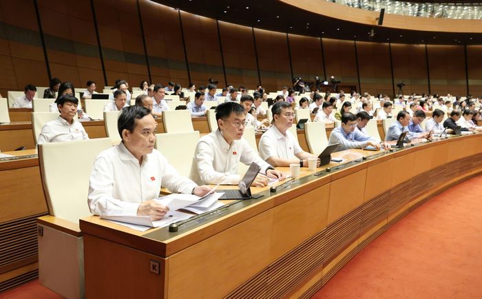 Bí thư Thành ủy TPHCM Trần Lưu Quang và các ĐB dự họp. Ảnh: QUANG PHÚC 