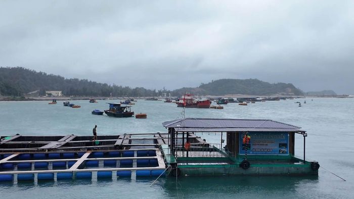  Các nhà bè nuôi trồng thủy sản trên biển ở Quảng Ninh được gia cố để phòng chống bão số 4. Ảnh: NGUYỄN HƯNG 