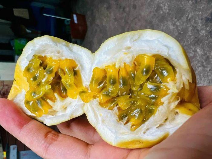Chanh dây vàng được nhiều người tiêu dùng tìm kiếm.