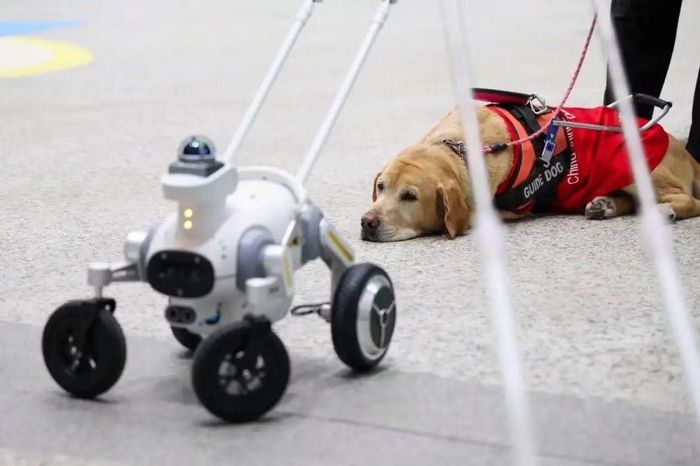 Khả năng sản xuất robot quy mô lớn là lợi thế của Trung Quốc, nhưng nước này vẫn phụ thuộc vào một số linh kiện công nghệ cao từ nước ngoài. 
