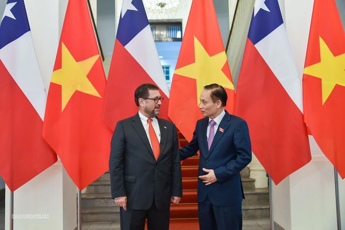 Hai Bộ trưởng trao đổi về các biện pháp thúc đẩy quan hệ hữu nghị và hợp tác giữa Việt Nam và Chile.