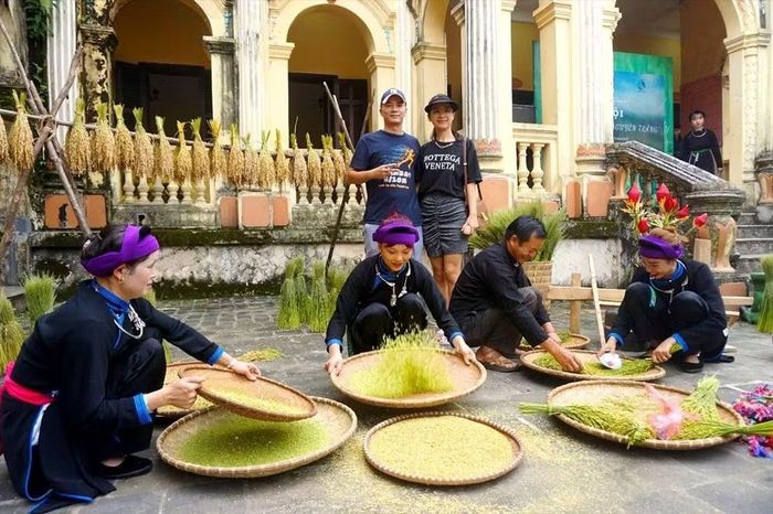 Du khách có thể trực tiếp tham gia quy trình làm cốm truyền thống cùng người dân vùng cao Bắc Hà. Ảnh: BTC