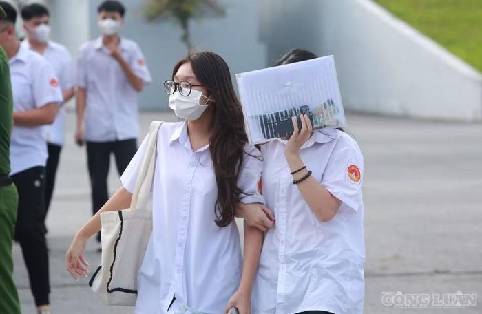 Trong 31 thí sinh chuyên Tuyên Quang đỗ Đại học Bách khoa Hà Nội, nhiều em vào ngành 'hot' bằng điểm thi đánh giá tư duy TSA và giải cấp tỉnh, quốc gia. Ảnh: Quang Hùng