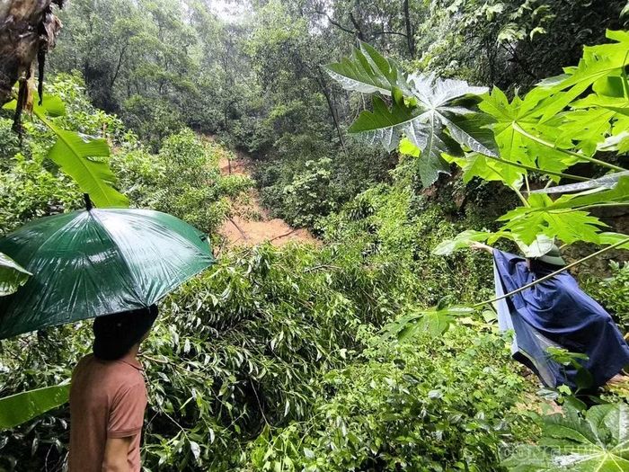 Mưa to kéo dài, khiến đồi núi bị xói mòn, sạt lở.