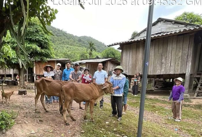 Chương trình trao bò giống thể hiện sự chung tay của Trường Cao đẳng Y tế Quảng Trị và Quỹ Y tế Jaseng trong chăm lo, hỗ trợ sinh viên có hoàn cảnh khó khăn