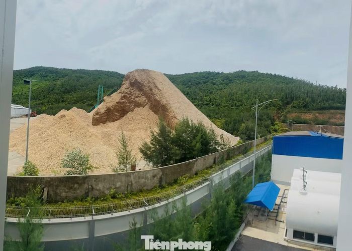 Bãi gỗ dăm được tập kết với khối lượng lớn ngay gần khu vực tổng kho xăng dầu của Công ty TNHH Xăng dầu Giang Nam.