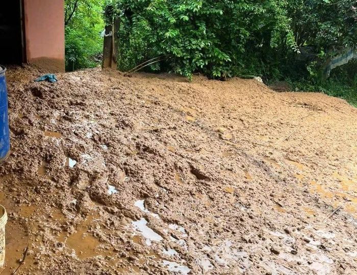 Hơn 500m3 đất tràn vào gia đình bà Vũ Thị Ánh