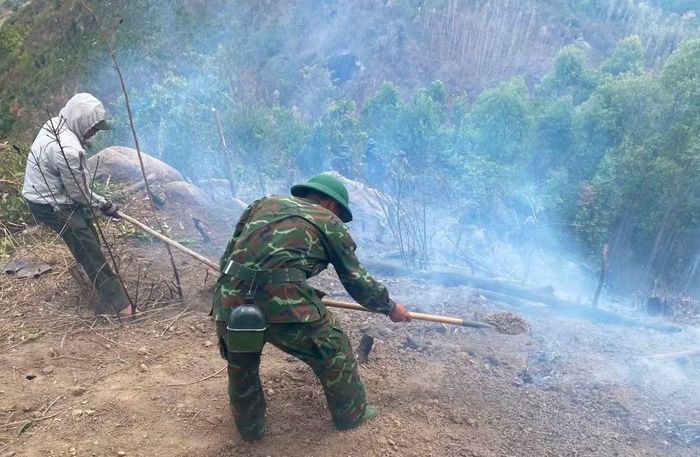 Khu vực rừng cháy trên núi cao khiến việc chữa cháy cũng gặp nhiều khó khăn.