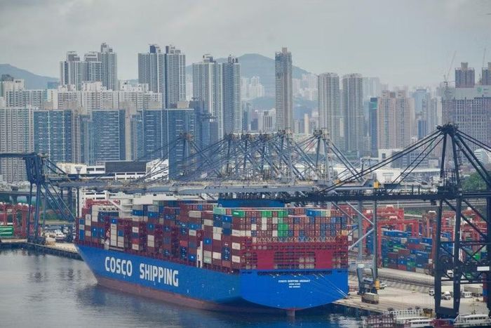Tàu hàng nằm tại cảng Hong Kong, Trung Quốc. Ảnh: Shutterstock.