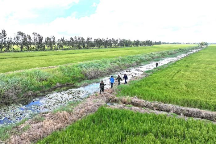 Nguồn thông tin này được nghiên cứu, tổng hợp từ các tài liệu quân đội Mỹ đã giải mật, liên quan đến khu mộ tập thể﻿ tại khu vực Rừng Tràm 800, trước đây thuộc xã Kiên Bình, huyện Kiên Lương và khu vực ấp Tám Ngàn, xã Bình Giang, huyện Hòn Đất, tỉnh Kiên Giang cũ. Trong quá trình khảo sát, đoàn công tác tập trung tìm kiếm các dấu vết, đặc điểm địa hình, đồng thời đối chiếu với thông tin từ bản đồ, chính quyền địa phương, cựu chiến binh và người dân từng sinh sống, hoạt động tại khu vực.