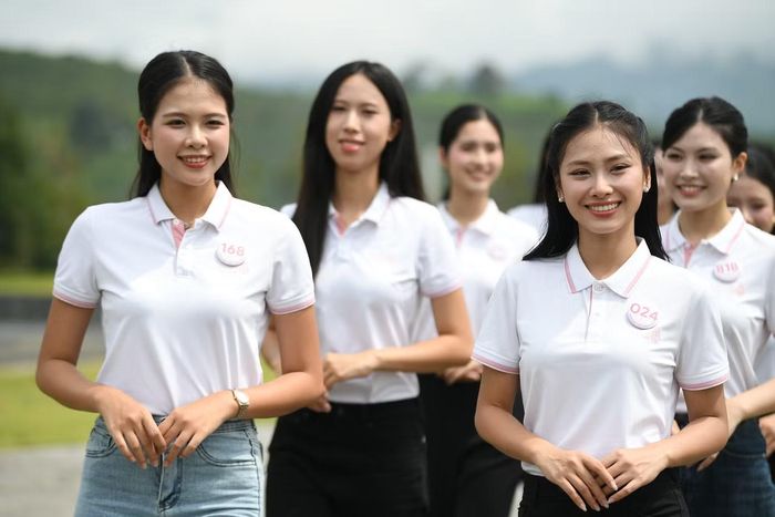 Đây là điểm đến xanh nằm trên ngọn đồi ở trung tâm phường Tân Phong.